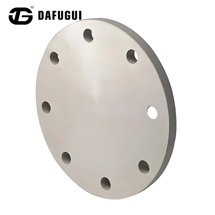 Mặt bích mù song công S32205